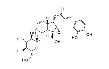 PA PHY 001748