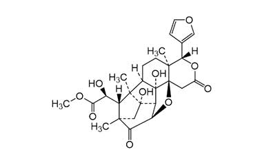 PA PHY 001750