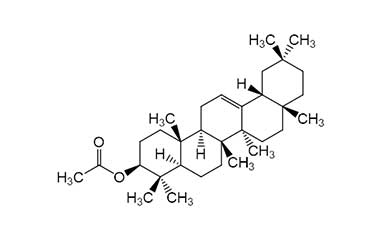 PA PHY 001767