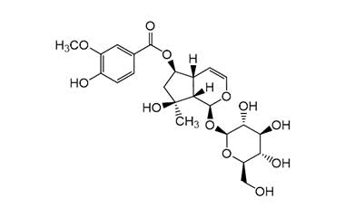 PA PHY 001788