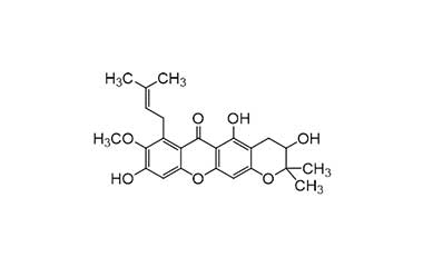 PA PHY 001814