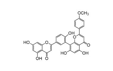 PA PHY 001837