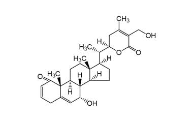 PA PHY 001876