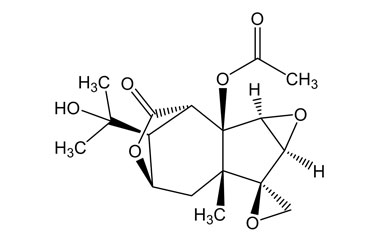 PA PHY 001908