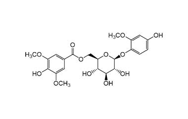 PA PHY 001953