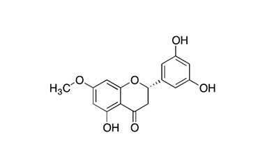 PA PHY 001958