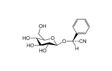 PA PHY 001975