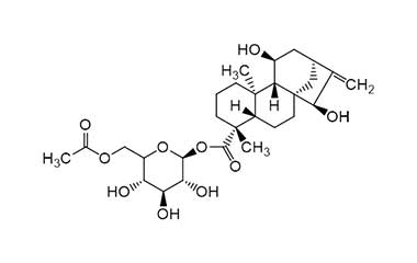 PA PHY 001976