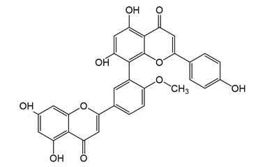 PA PHY 001987