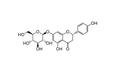 PA PHY 002000