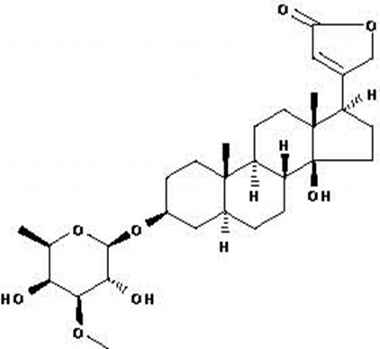 PA PHY 002025