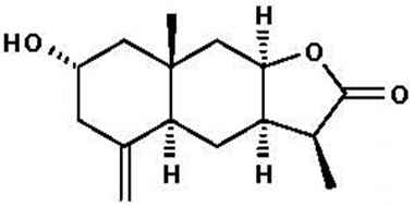 PA PHY 002030