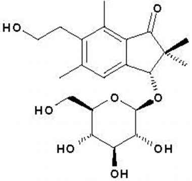 PA PHY 002045