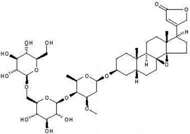 PA PHY 002112