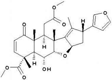 PA PHY 002124
