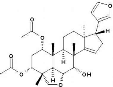 PA PHY 002157