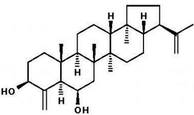 PA PHY 002247