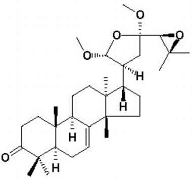 PA PHY 002358