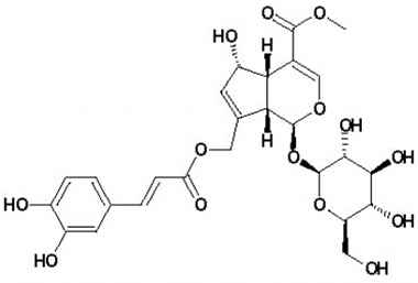 PA PHY 002360