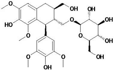 PA PHY 002373