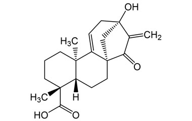 PA PHY 002392