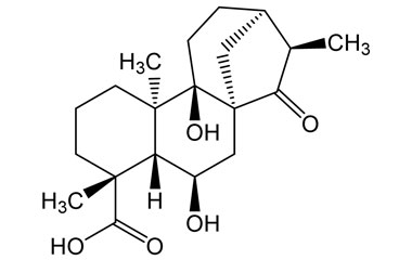 PA PHY 002393