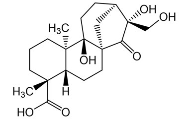 PA PHY 002394