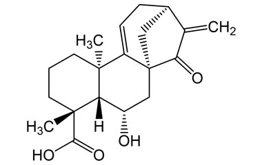 PA PHY 002398