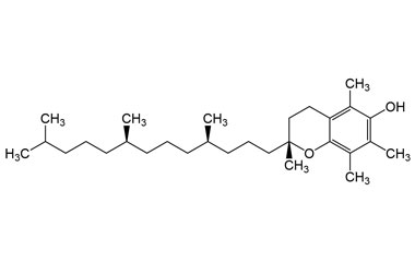 PA PHY 002424