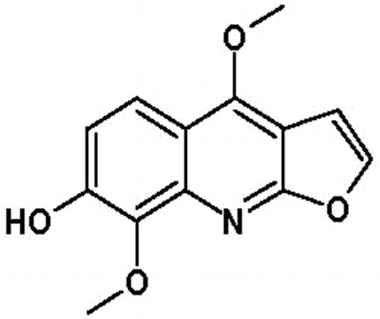 PA PHY 002440