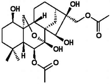 PA PHY 002468