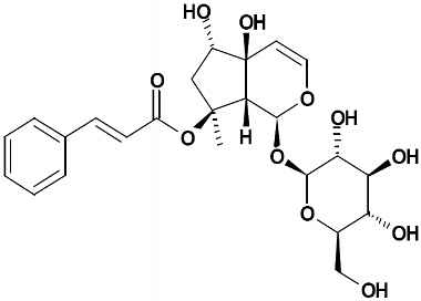 PA PHY 002519