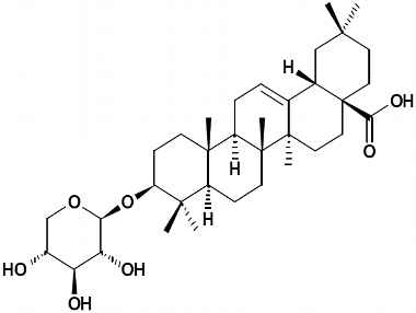 PA PHY 002532