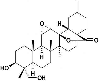 PA PHY 002548