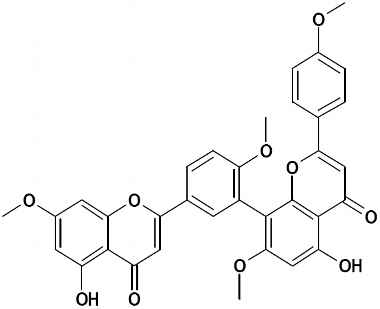 PA PHY 002582