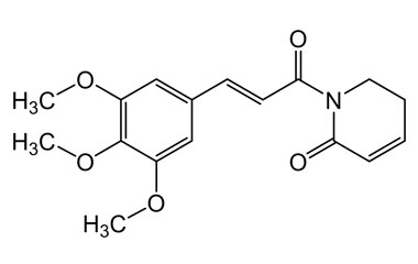 PA PHY 002606