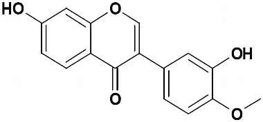 PA PHY 002610
