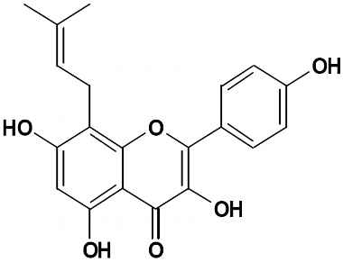 PA PHY 002624