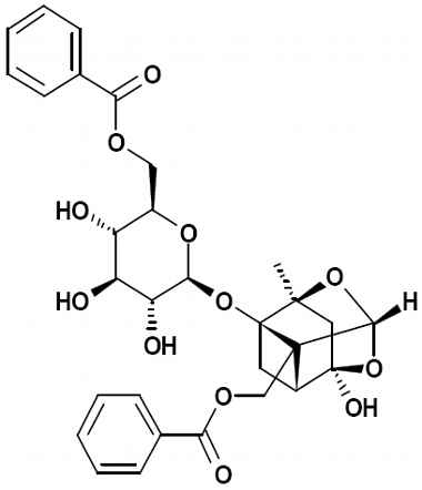 PA PHY 002631