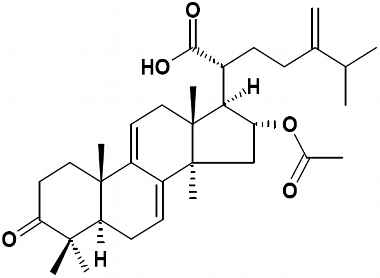 PA PHY 002635