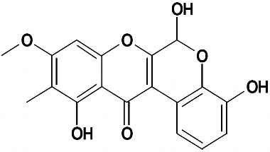 PA PHY 002641