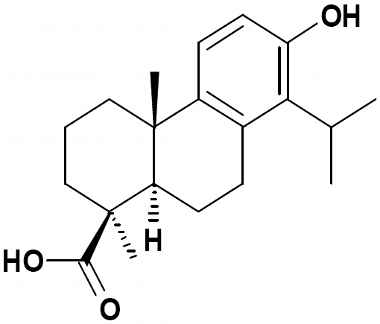 PA PHY 002644