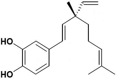 PA PHY 002647