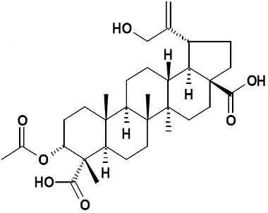 PA PHY 002720