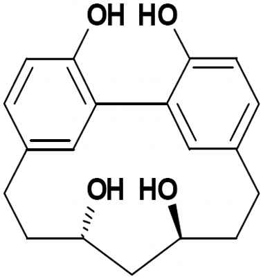 PA PHY 002742