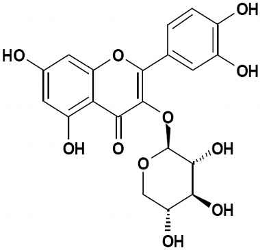 PA PHY 002743