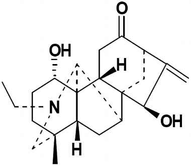 PA PHY 002745