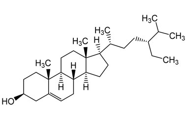 PA PHY 002756