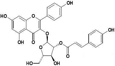 PA PHY 002779