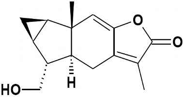 PA PHY 002793